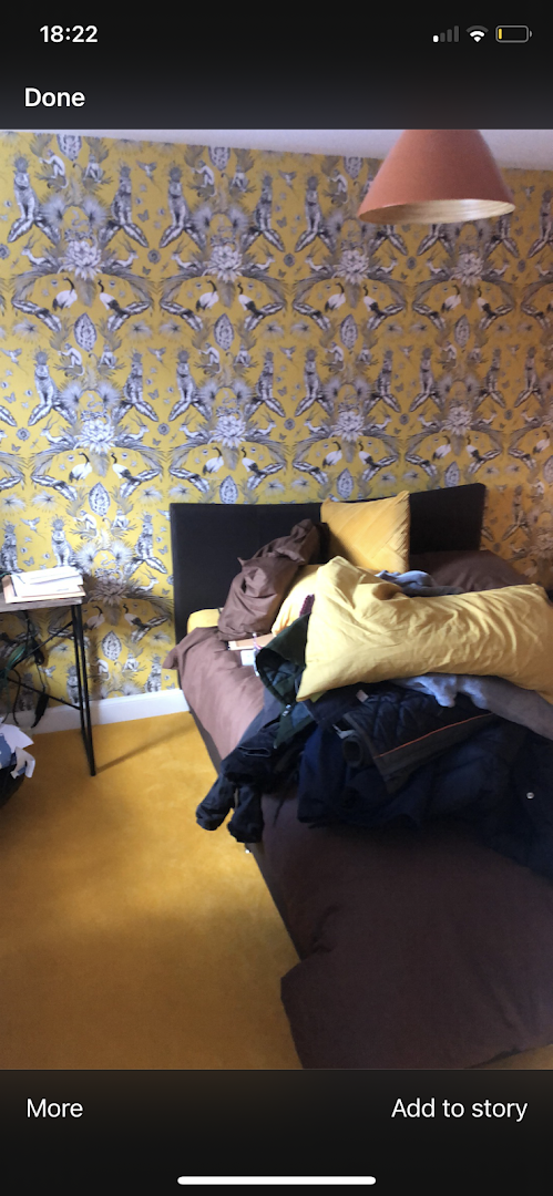 RDK Decorating · Photos 11